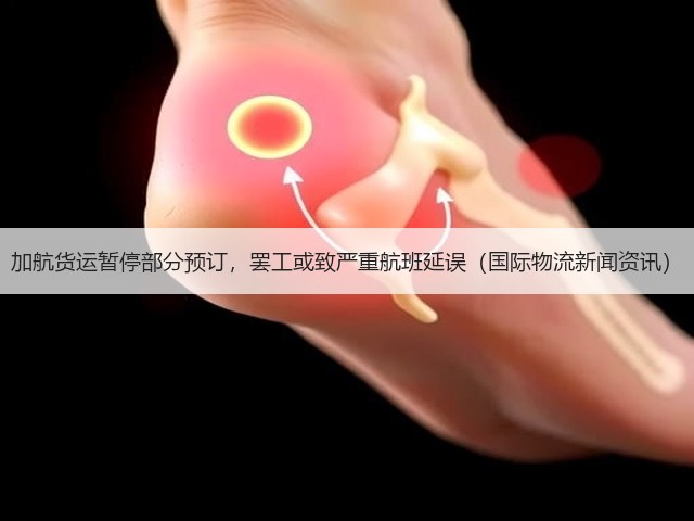 加航货运暂停部分预订,罢工或致严重航班延误(国际物流新闻资讯)(图3) 加航货运暂停部分预订,罢工或致严重航班延误(国际物流新闻资讯)(图3)