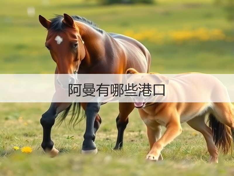 阿曼有哪些港口 阿曼有哪些港口