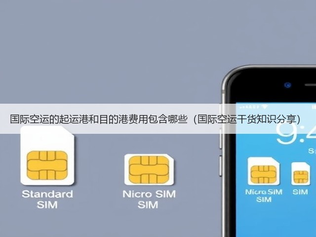 国际空运的起运港和目的港费用包含哪些(国际空运干货知识分享)(图3) 国际空运的起运港和目的港费用包含哪些(国际空运干货知识分享)(图3)