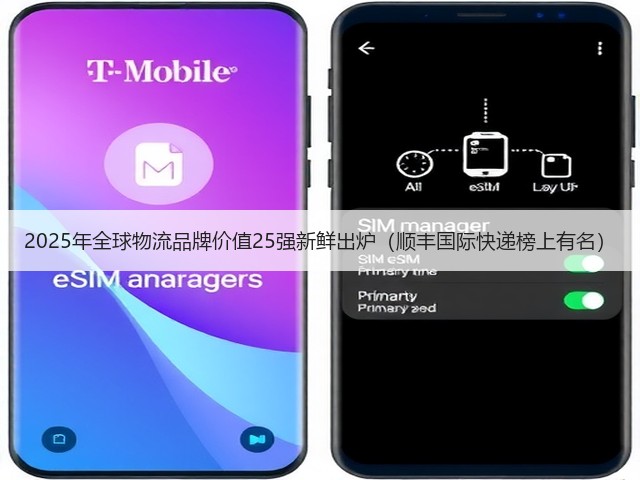 2025年全球物流品牌价值25强新鲜出炉(顺丰国际快递榜上有名)(图3) 2025年全球物流品牌价值25强新鲜出炉(顺丰国际快递榜上有名)(图3)