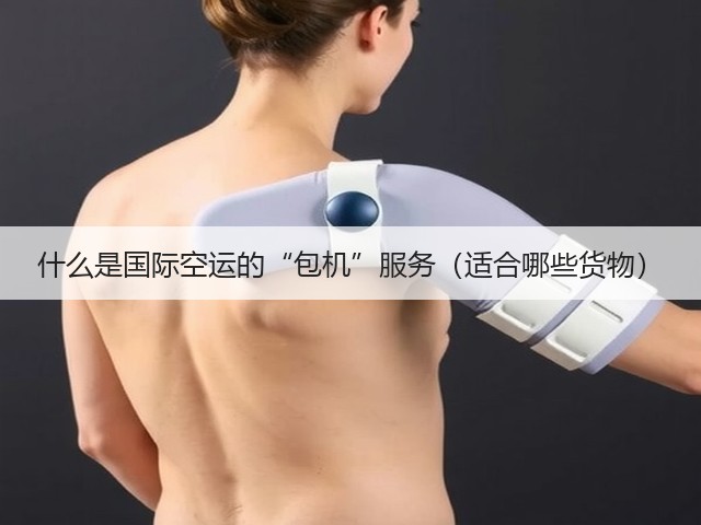 什么是国际空运的“包机”服务(适合哪些货物)(图2) 什么是国际空运的“包机”服务(适合哪些货物)(图2)