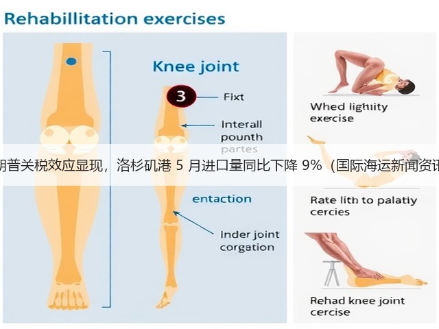 特朗普关税效应显现,洛杉矶港 5 月进口量同比下降 9%(国际海运新闻资讯)(图1) 特朗普关税效应显现,洛杉矶港 5 月进口量同比下降 9%(国际海运新闻资讯)(图1)