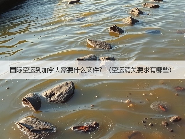 国际空运到加拿大需要什么文件?(空运清关要求有哪些)(图1) 国际空运到加拿大需要什么文件?(空运清关要求有哪些)(图1)