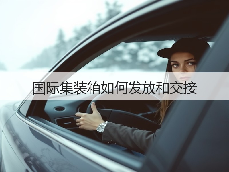 国际集装箱如何发放和交接 国际集装箱如何发放和交接