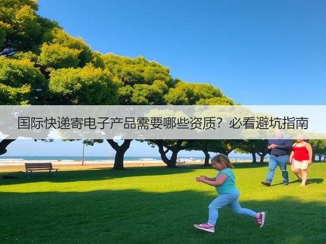 国际快递寄电子产品需要哪些资质?必看避坑指南(图3) 国际快递寄电子产品需要哪些资质?必看避坑指南(图3)
