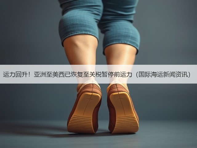 运力回升!亚洲至美西已恢复至关税暂停前运力(国际海运新闻资讯)(图2) 运力回升!亚洲至美西已恢复至关税暂停前运力(国际海运新闻资讯)(图2)