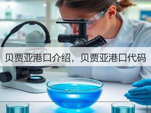 贝贾亚港口介绍,贝贾亚港口代码(图2) 贝贾亚港口介绍,贝贾亚港口代码(图2)