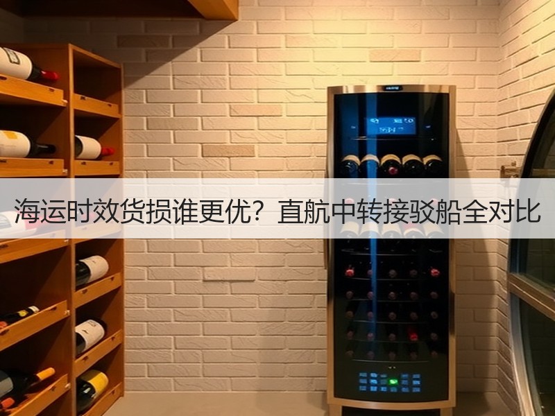 海运时效货损谁更优？直航中转接驳船全对比