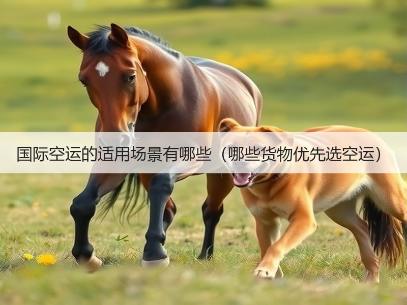 国际空运的适用场景有哪些（哪些货物优先选空运）