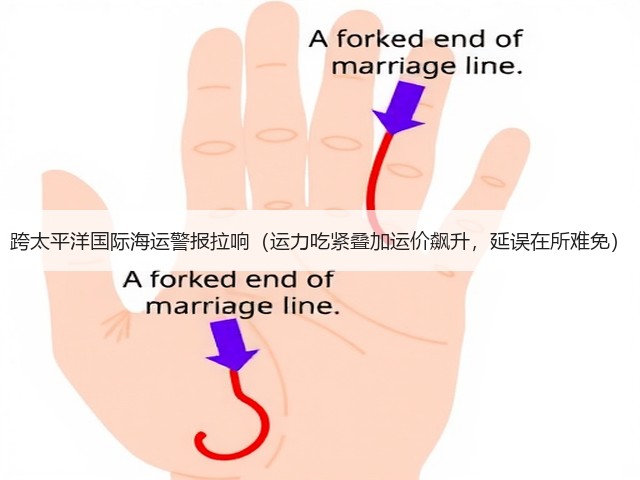 跨太平洋国际海运警报拉响(运力吃紧叠加运价飙升,延误在所难免)(图2) 跨太平洋国际海运警报拉响(运力吃紧叠加运价飙升,延误在所难免)(图2)
