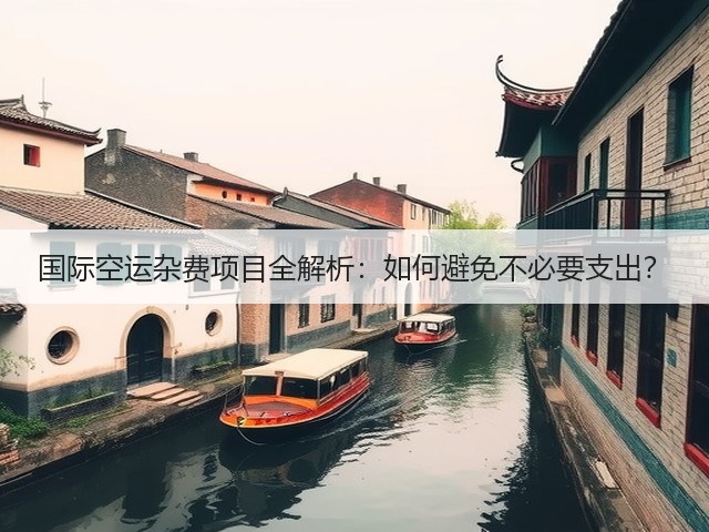 国际空运杂费项目全解析：如何避免不必要支出？(图2)