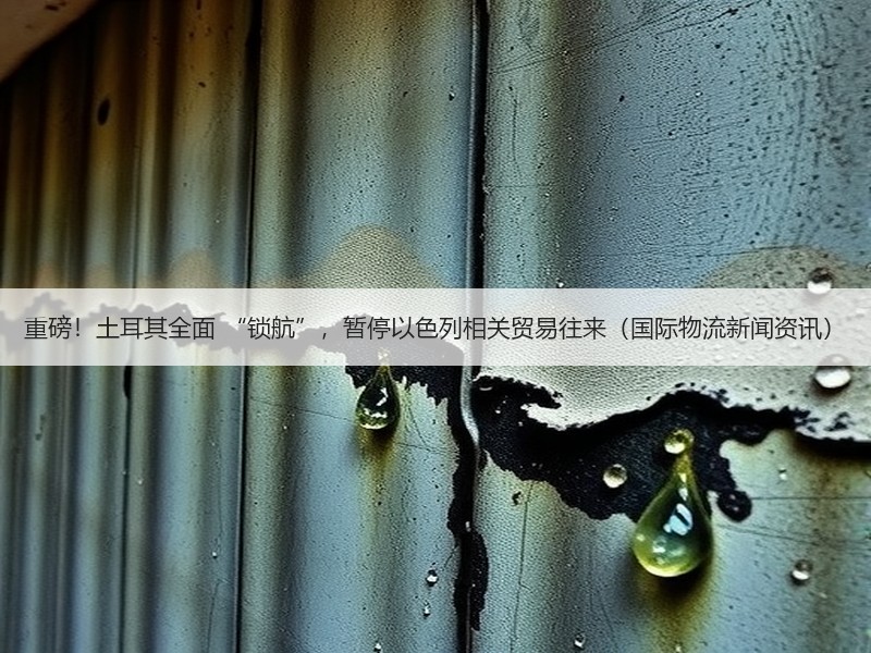重磅!土耳其全面 “锁航”,暂停以色列相关贸易往来(国际物流新闻资讯) 重磅!土耳其全面 “锁航”,暂停以色列相关贸易往来(国际物流新闻资讯)