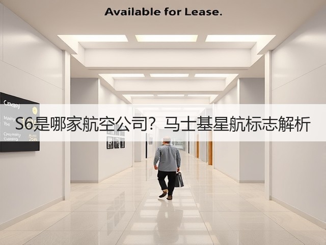 S6是哪家航空公司?马士基星航标志解析(图2) S6是哪家航空公司?马士基星航标志解析(图2)