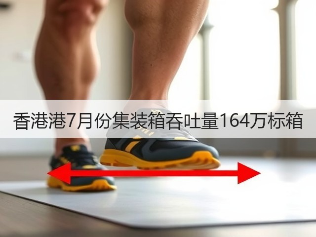 香港港7月份集装箱吞吐量164万标箱(图2)