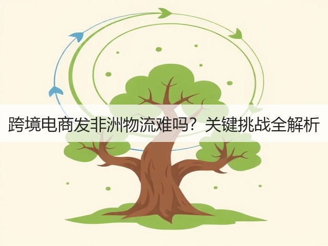 跨境电商发非洲物流难吗?关键挑战全解析(图2) 跨境电商发非洲物流难吗?关键挑战全解析(图2)