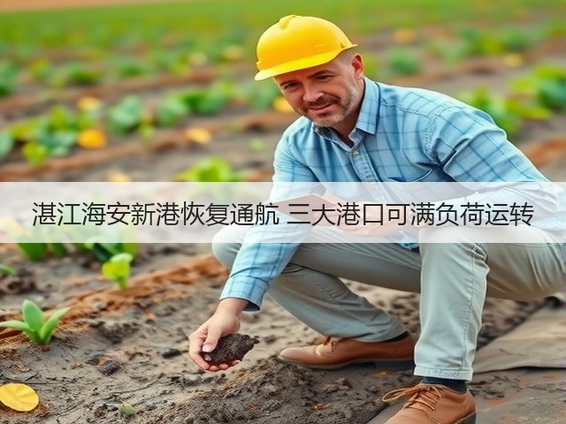 湛江海安新港恢复通航 三大港口可满负荷运转(图3) 湛江海安新港恢复通航 三大港口可满负荷运转(图3)
