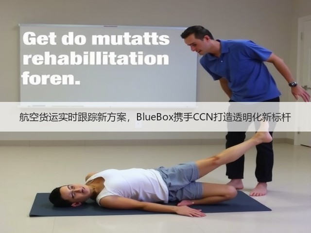 航空货运实时跟踪新方案,BlueBox携手CCN打造透明化新标杆(图2) 航空货运实时跟踪新方案,BlueBox携手CCN打造透明化新标杆(图2)
