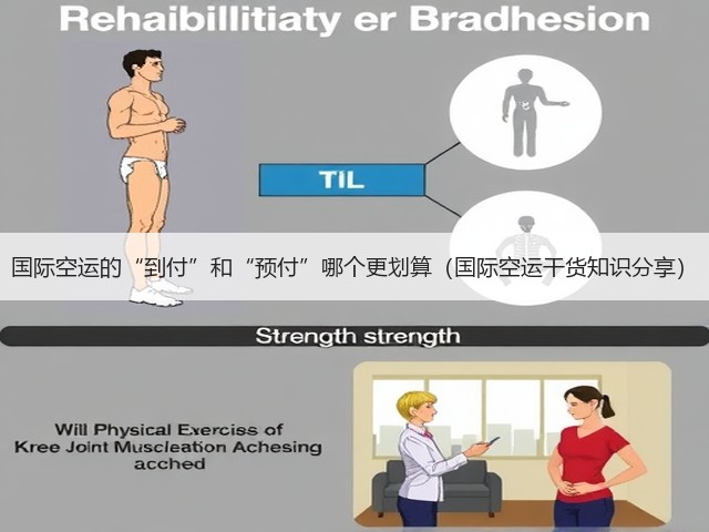 国际空运的“到付”和“预付”哪个更划算（国际空运干货知识分享）(图3)