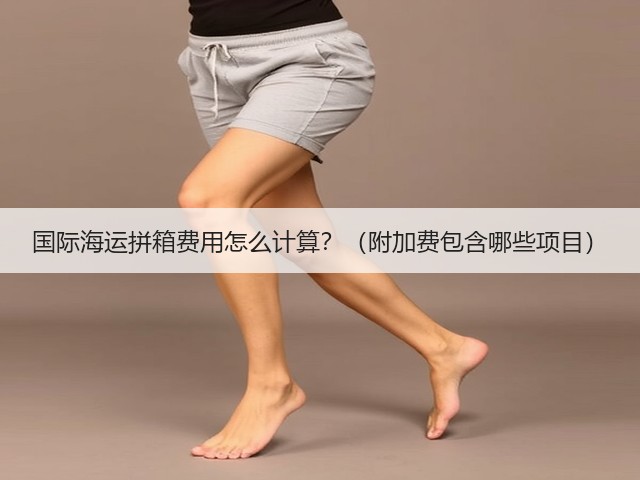 国际海运拼箱费用怎么计算?(附加费包含哪些项目)(图2) 国际海运拼箱费用怎么计算?(附加费包含哪些项目)(图2)