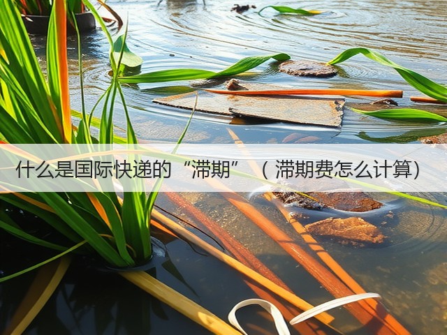 什么是国际快递的“滞期”( 滞期费怎么计算)(图3) 什么是国际快递的“滞期”( 滞期费怎么计算)(图3)
