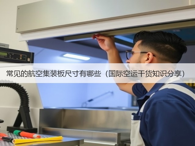 常见的航空集装板尺寸有哪些(国际空运干货知识分享)(图3) 常见的航空集装板尺寸有哪些(国际空运干货知识分享)(图3)