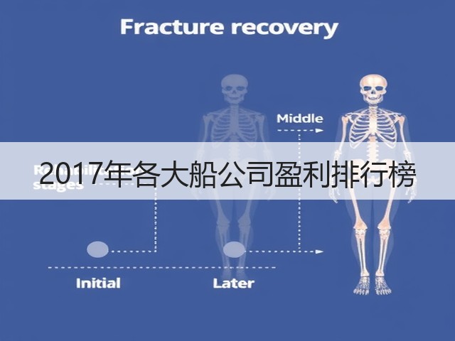 2017年各大船公司盈利排行榜(图1) 2017年各大船公司盈利排行榜(图1)