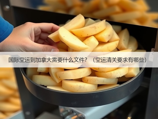 国际空运到加拿大需要什么文件?(空运清关要求有哪些)(图2) 国际空运到加拿大需要什么文件?(空运清关要求有哪些)(图2)