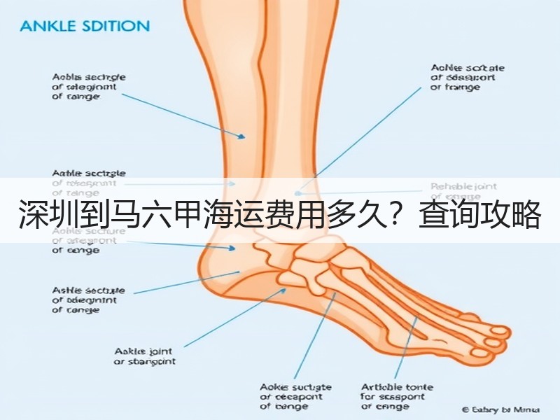 深圳到马六甲海运费用多久？查询攻略