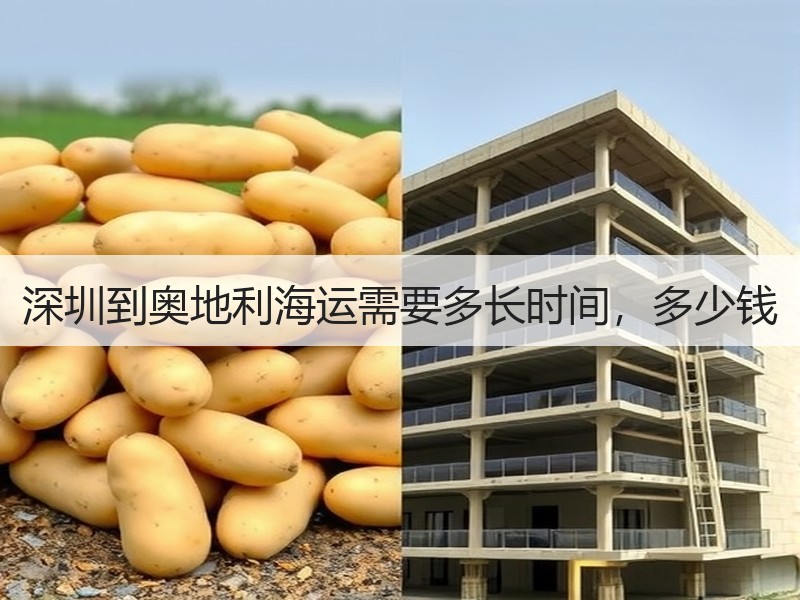 深圳到奥地利海运需要多长时间,多少钱 深圳到奥地利海运需要多长时间,多少钱
