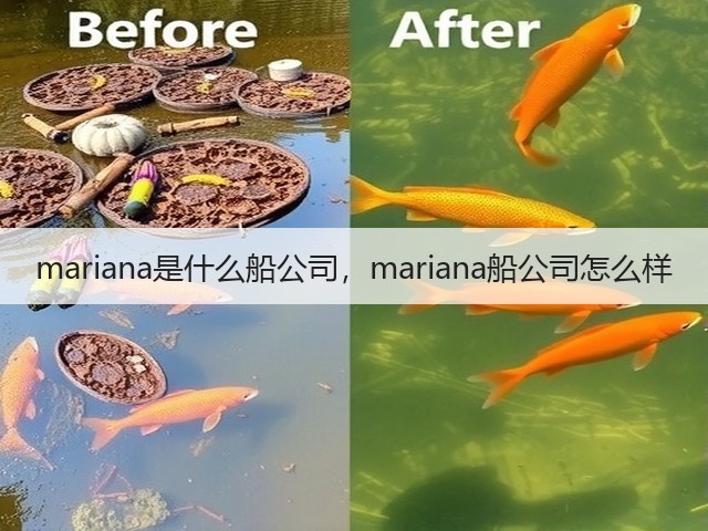 mariana是什么船公司,mariana船公司怎么样(图2) mariana是什么船公司,mariana船公司怎么样(图2)