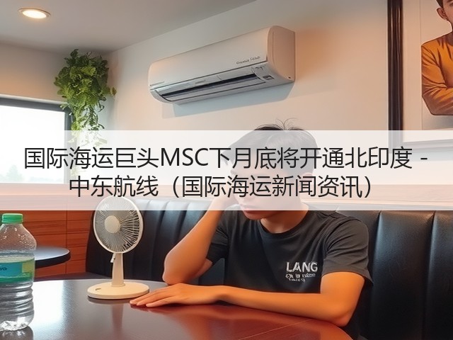 国际海运巨头MSC下月底将开通北印度 - 中东航线（国际海运新闻资讯）(图3)