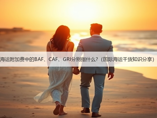 海运附加费中的BAF、CAF、GRI分别指什么?(国际海运干货知识分享)(图1) 海运附加费中的BAF、CAF、GRI分别指什么?(国际海运干货知识分享)(图1)