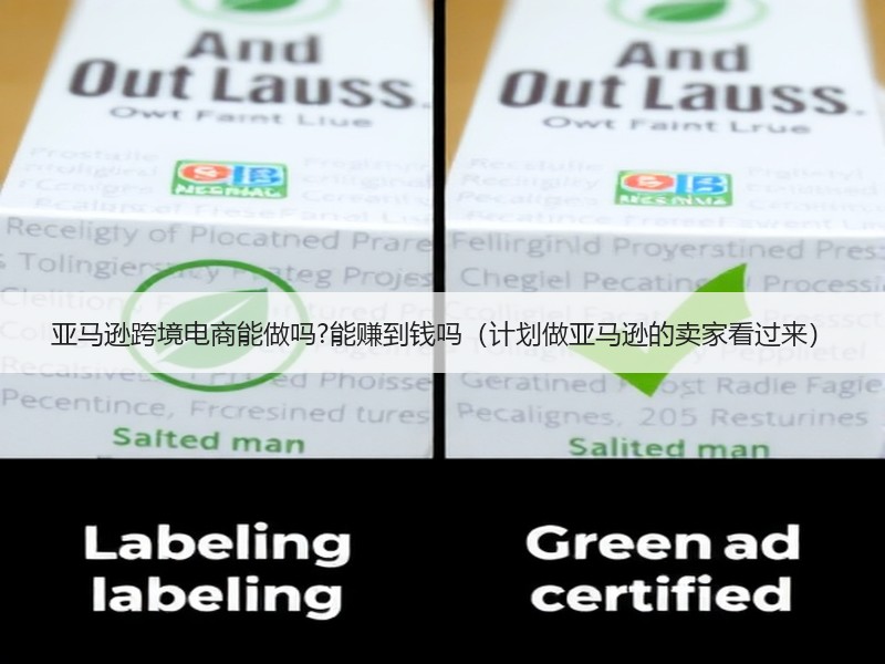 亚马逊跨境电商能做吗?能赚到钱吗(计划做亚马逊的卖家看过来) 亚马逊跨境电商能做吗?能赚到钱吗(计划做亚马逊的卖家看过来)