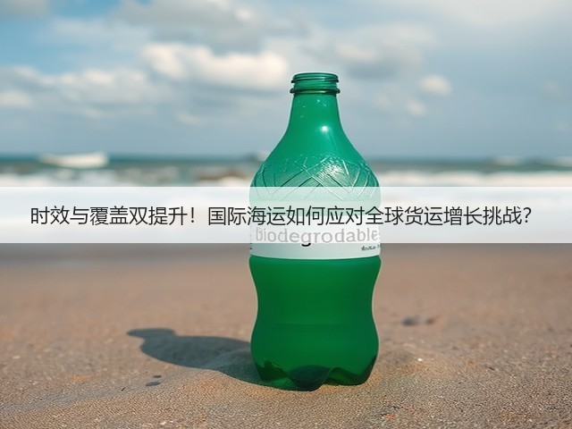 时效与覆盖双提升!国际海运如何应对全球货运增长挑战?(图2) 时效与覆盖双提升!国际海运如何应对全球货运增长挑战?(图2)