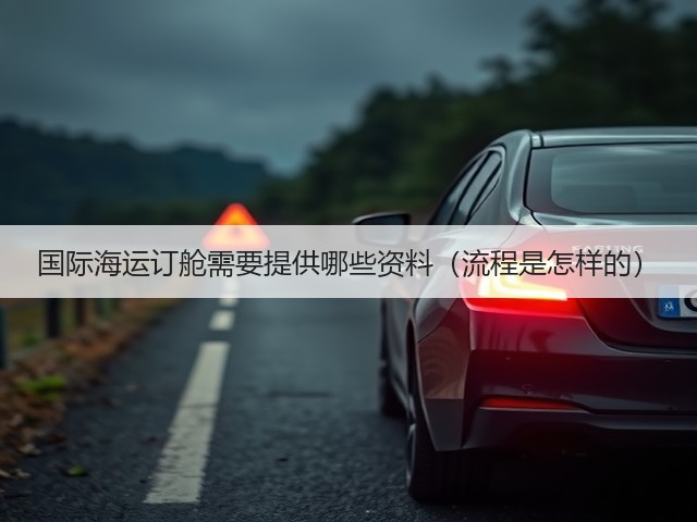 国际海运订舱需要提供哪些资料(流程是怎样的)(图3) 国际海运订舱需要提供哪些资料(流程是怎样的)(图3)