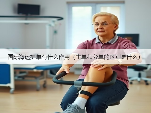 国际海运提单有什么作用(主单和分单的区别是什么)(图1) 国际海运提单有什么作用(主单和分单的区别是什么)(图1)