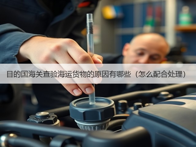 目的国海关查验海运货物的原因有哪些（怎么配合处理）(图3)