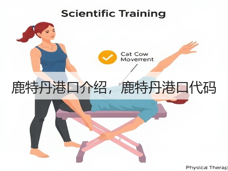 鹿特丹港口介绍,鹿特丹港口代码 鹿特丹港口介绍,鹿特丹港口代码