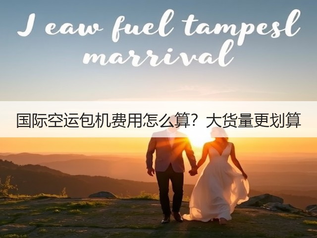 国际空运包机费用怎么算？大货量更划算(图2)