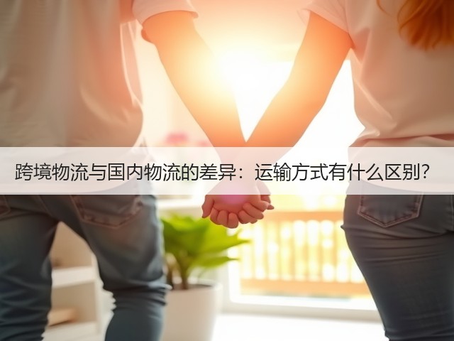 跨境物流与国内物流的差异:运输方式有什么区别?(图3) 跨境物流与国内物流的差异:运输方式有什么区别?(图3)