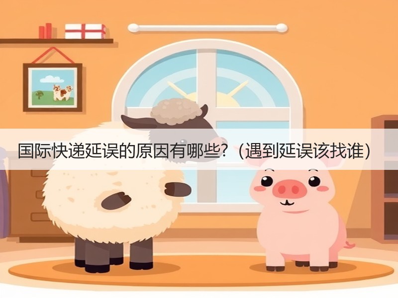 国际快递延误的原因有哪些?(遇到延误该找谁) 国际快递延误的原因有哪些?(遇到延误该找谁)