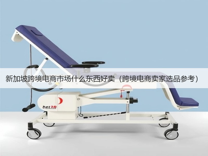 新加坡跨境电商市场什么东西好卖(跨境电商卖家选品参考) 新加坡跨境电商市场什么东西好卖(跨境电商卖家选品参考)