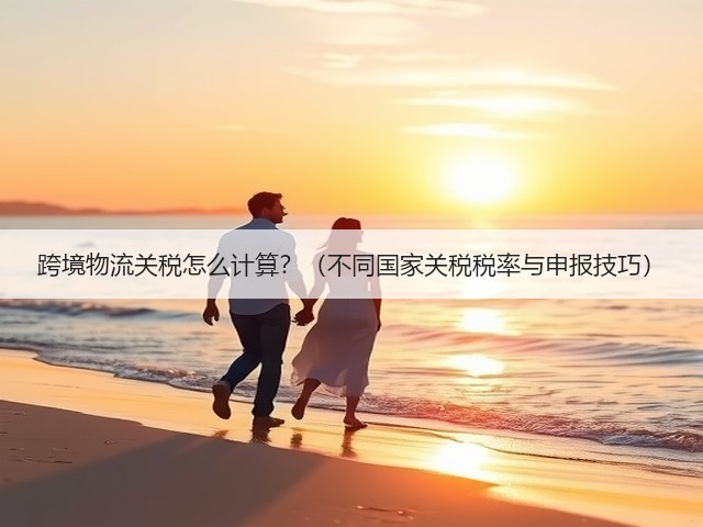跨境物流关税怎么计算？（不同国家关税税率与申报技巧）(图2)
