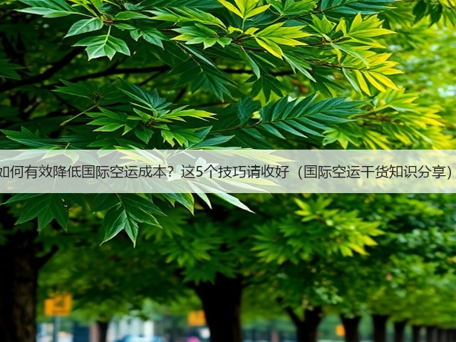 如何有效降低国际空运成本?这5个技巧请收好(国际空运干货知识分享)(图3) 如何有效降低国际空运成本?这5个技巧请收好(国际空运干货知识分享)(图3)