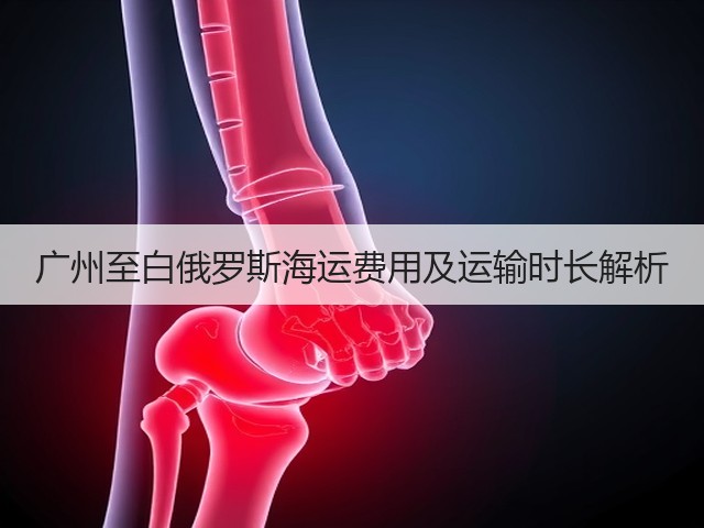 广州至白俄罗斯海运费用及运输时长解析(图2) 广州至白俄罗斯海运费用及运输时长解析(图2)