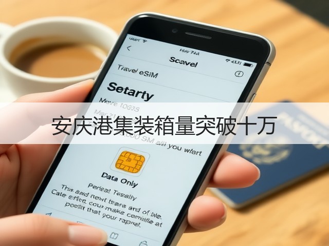 安庆港集装箱量突破十万(图3)