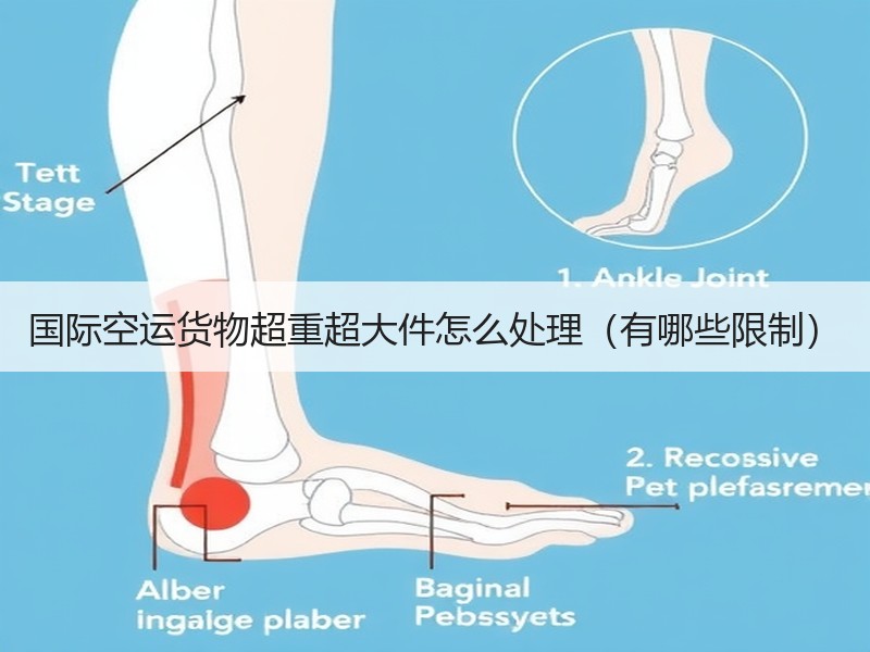 国际空运货物超重超大件怎么处理（有哪些限制）