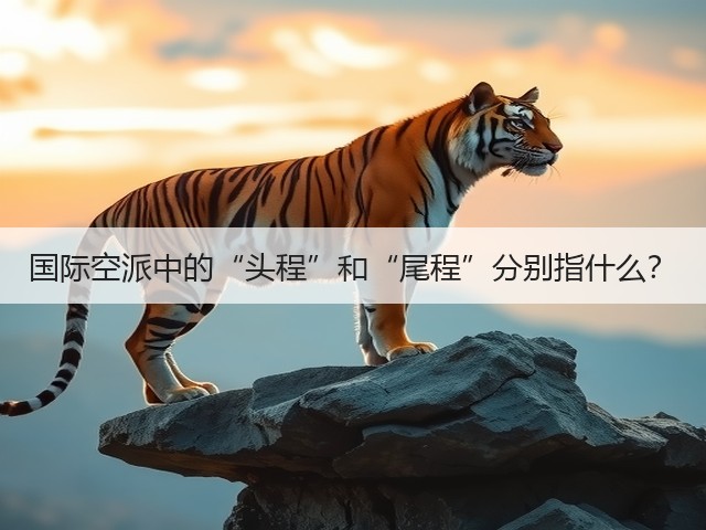 国际空派中的“头程”和“尾程”分别指什么?(图3) 国际空派中的“头程”和“尾程”分别指什么?(图3)
