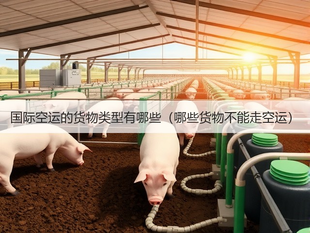 国际空运的货物类型有哪些(哪些货物不能走空运)(图1) 国际空运的货物类型有哪些(哪些货物不能走空运)(图1)