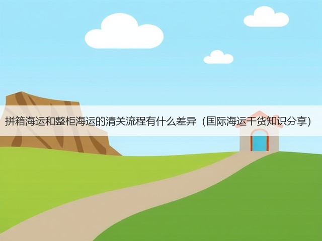 拼箱海运和整柜海运的清关流程有什么差异（国际海运干货知识分享）(图3)